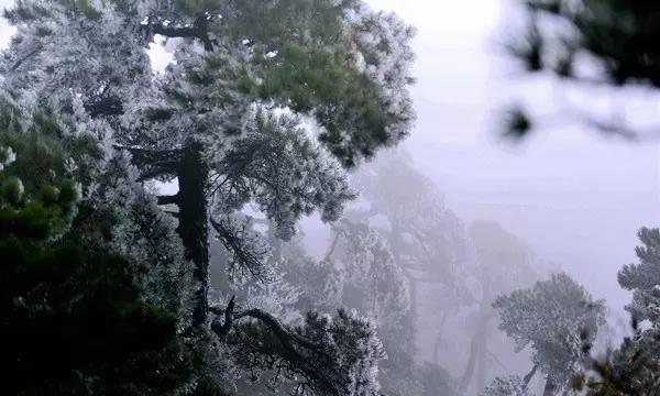 隐藏的间谍